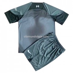 Camisola Liverpool Criança Equipamento Segundo 2022-2023 Manga Corta